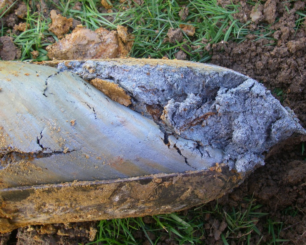 Détail d'un horizon argileux